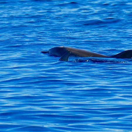 Casavacanza Golfo Aranci Εξωτερικό φωτογραφία