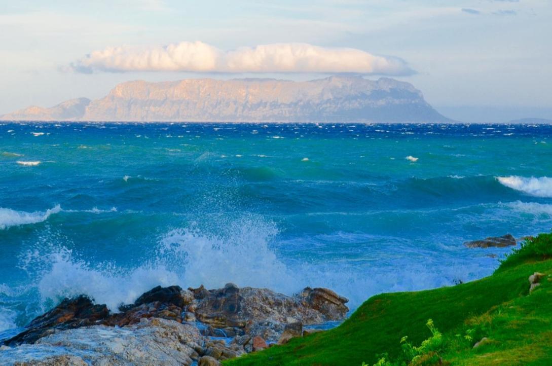 Casavacanza Golfo Aranci Εξωτερικό φωτογραφία