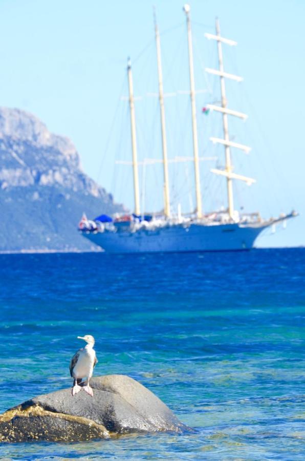 Casavacanza Golfo Aranci Εξωτερικό φωτογραφία