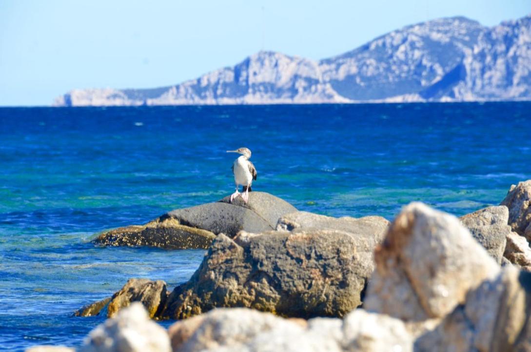 Casavacanza Golfo Aranci Εξωτερικό φωτογραφία