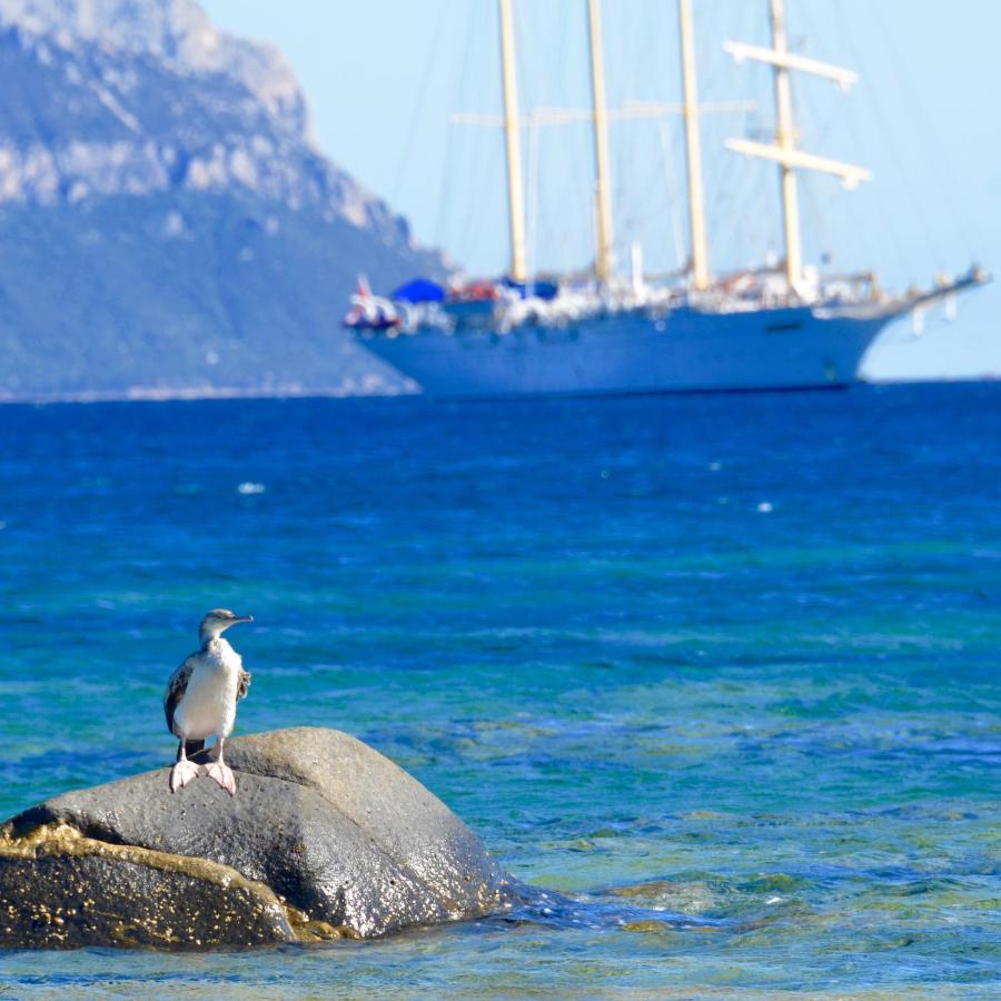 Casavacanza Golfo Aranci Εξωτερικό φωτογραφία