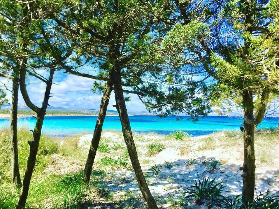 Casavacanza Golfo Aranci Εξωτερικό φωτογραφία